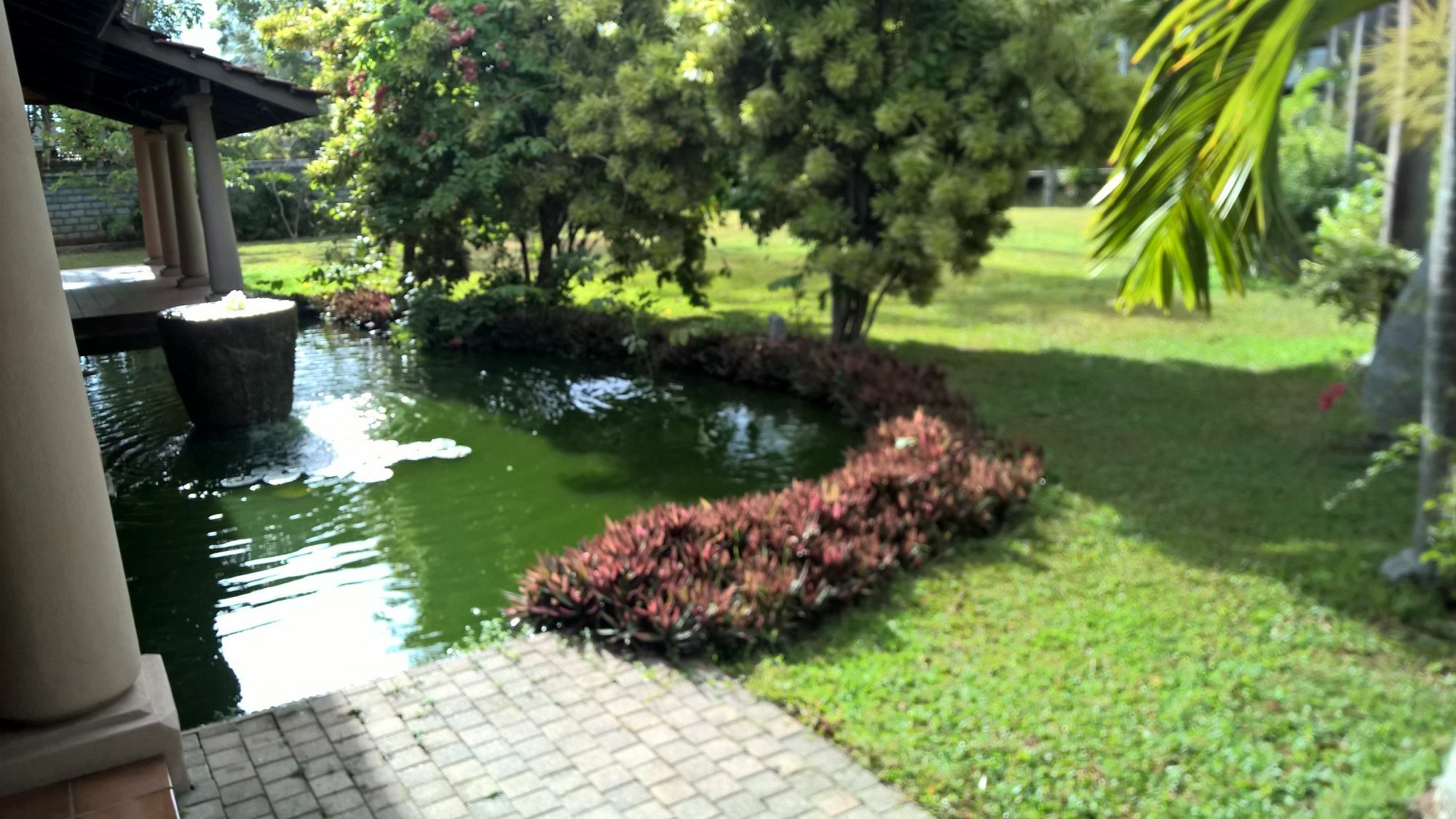 Tropical Villas Негомбо Экстерьер фото